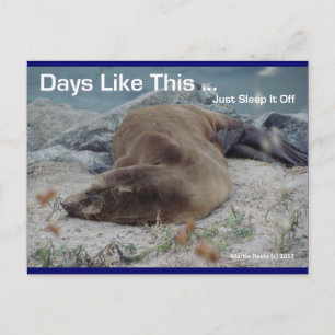 Postale Des Jours Comme Celui-Ci (Lion De Mer) - Carte Pos