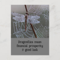 Dragonfly Dragonflies Signification carte