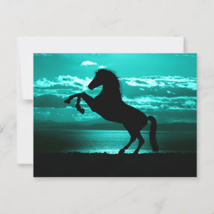 Postale Dramatique Cheval Noir Ciel Turquoise Carte Postal