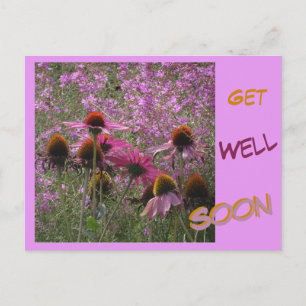 Postale Échinacées Texte personnalisé Carte de vœux de rét