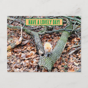 Postale Écureuil dans la carte de voeux de la forêt
