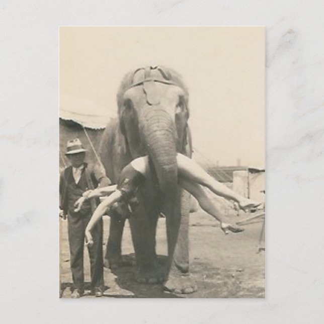 Postale éléphant avec une fille dans la bouche carte posta (Devant)