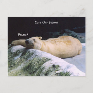 Postale Enregistrer notre série Planète Polar Bear carte p