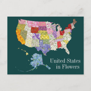 Postale États-Unis en Fleurs - Alt Back Design Carte posta