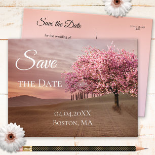 Postale Faire-part Arbre cerise en fleurs Enregistrer la date Carte p