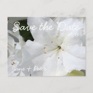 Postale Faire-part Azaleas Mariage floral Enregistrer la date Carte p