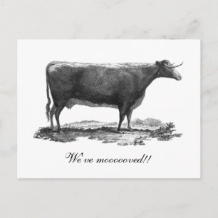 Postale Faire-part Carte de changement d'adresse de vache vintage