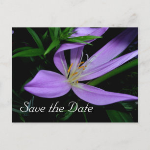 Postale Faire-part Carte de notification de sauvegarde de date