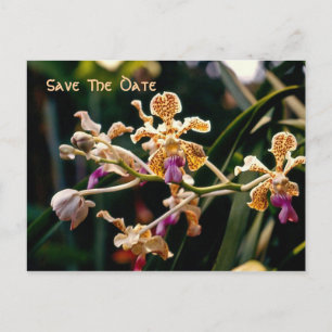 Postale Faire-part Carte de sauvegarde de date de l'orchidée sauvage