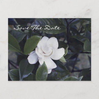 Postale Faire-part Enchanter Gardenia Enregistrer La Date Carte Posta