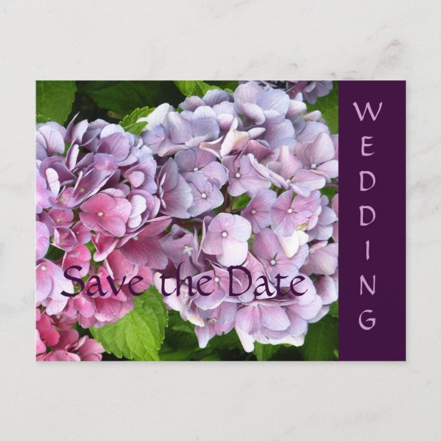 Postale Faire-part Hydrangea Wedding Enregistrer la date Carte postal (Devant)
