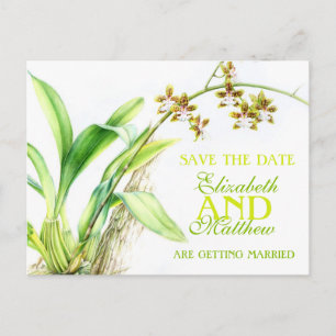 Postale Faire-part Orchidée verte fleur peinte enregistrer la carte d
