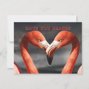 POSTALE FLAMANT ROSE TALK CHANGEMENT DE CARTE D'ADRESSE