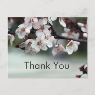 Postale fleurs de prune carte de remerciements