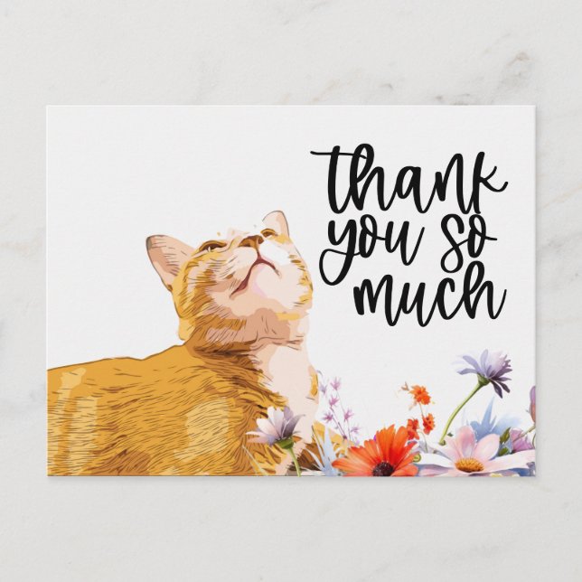 Postale Ginger Cat Carte de remerciements cat cherche (Devant)