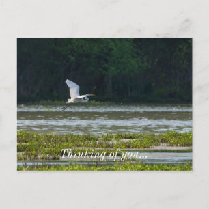 Postale Grand Aiguille Blanc Volant Penser De Vous Carte P