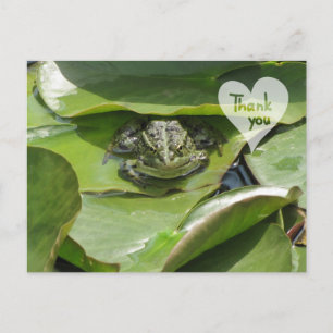Postale Grenouille en vert vous regardant Merci carte post