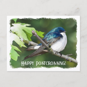 Postale Hirondelle de l'arbre de croisement - Carte postal