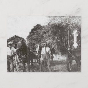 Postale Hommes au travail Vintage noir et blanc - Carte po