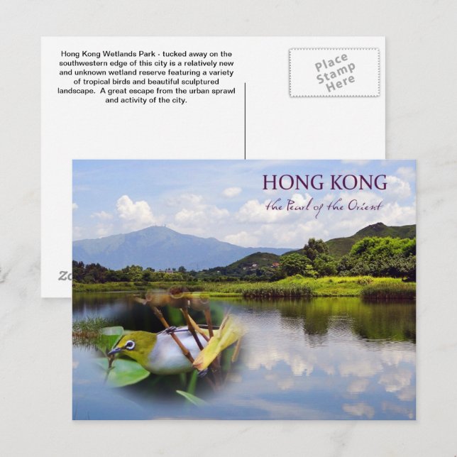 Postale Hong Kong Wetlands Park Carte de poste de voyage (Devant / Derrière)