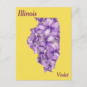 Postale Illinois State Flower - Carte de collage