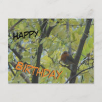 Jolie carte d'anniversaire avec un rouge-gorge dan