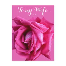 Jolie carte d'anniversaire rose rose chaud