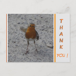 Postale Jolie carte de remerciement avec rouge-gorge