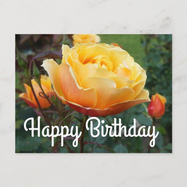 Postale Joyeux Anniversaire About Face Rose #2 Carte Posta (Devant)