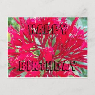 Postale Joyeux anniversaire Belle fleurs rouges Carte post