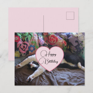 Postale Joyeux Anniversaire Chat Smoking Chats Carte Posta