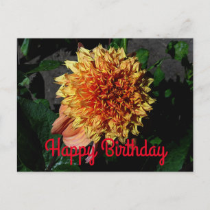 Postale Joyeux Anniversaire Dahlia Sandia Brocade #1 Carte