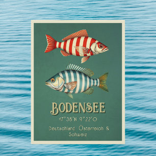 Postale Lac Constance Bodensee Allemagne Poisson Carte pos
