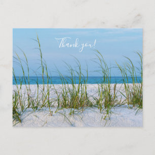 Postale Ligne d'avoine de mer dans le sable blanc Carte de