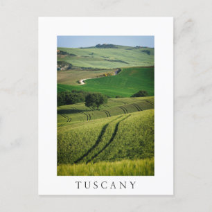 Postale Lignes courbes en vert Toscane élégante carte post