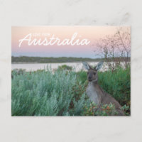 Love From Australia Kangaroo Sunset Lake Carte pos