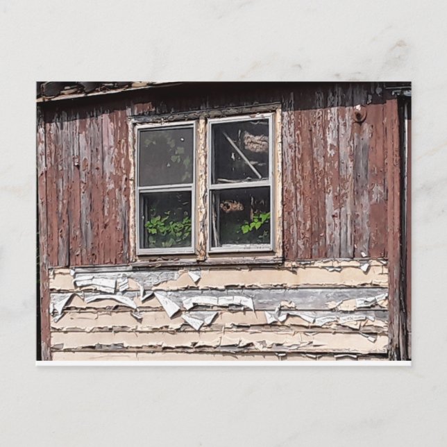 Postale maison abandonnée avec fleurs à la fenêtre carte p (Devant)