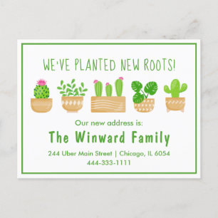 Postale Maison Plantes Cactus White Nouvelle Maison Carte 