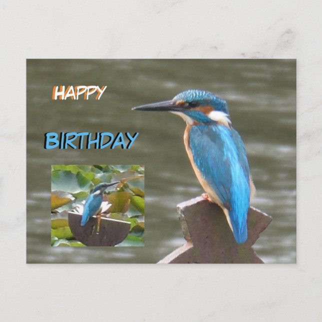 Postale Martin-pêcheurs mignons Carte d'anniversaire (Devant)