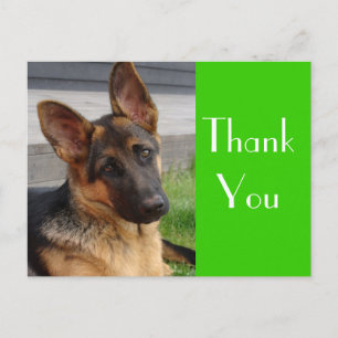 Postale Merci Allemand Berger Chien Chien Chien Pot Carte