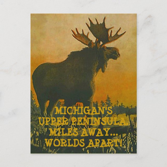 POSTALE MOOSE AT SUNSET ~ UPPER PENINSULA VOYAGE CARTE POS (Devant)