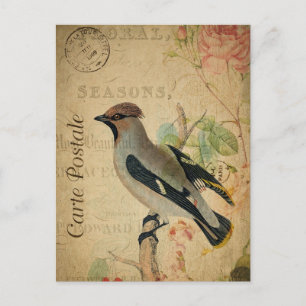 Postale Oiseau Vintage moderne collage floral Carte postal