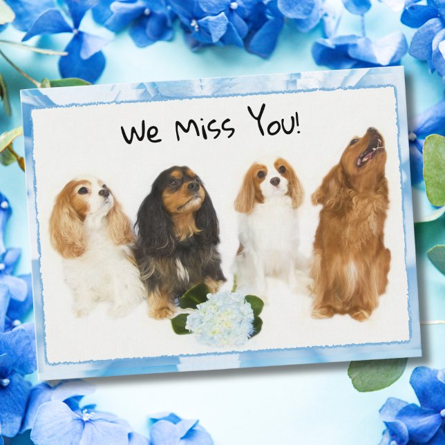Postale On vous manque ! 4 Cavalier King Charles Carte pos (Créateur téléchargé)