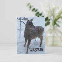PC hiver cerf de bébé Ham Op radio amateur carte q