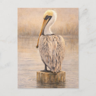 Postale Pélican de port   Art de la faune côtière   Carte 