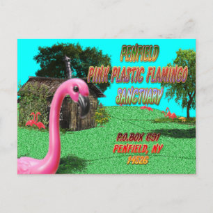 Postale pénfield plastique rose flamingo sanctuaire carte 