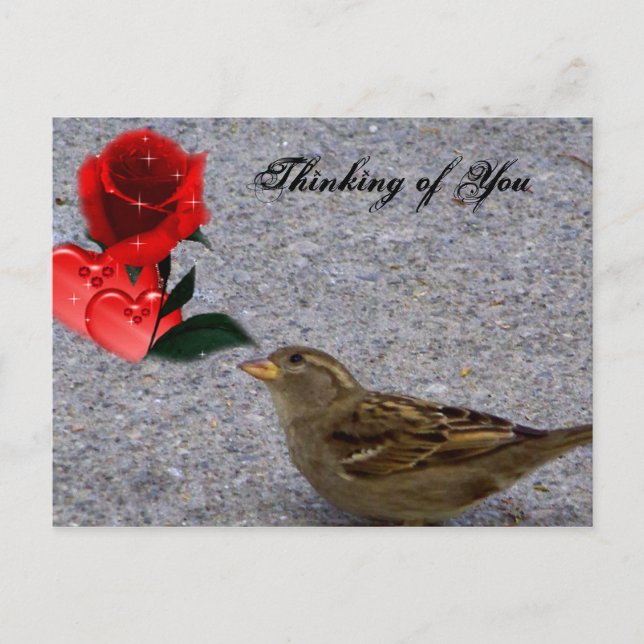 Postale Penser à vous / toutes les occasions_ Carte postal (Devant)