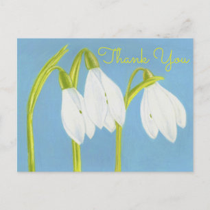 Postale Perce-Neige ~ Carte de Remerciement