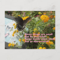 petite mais appréciée carte Papillon