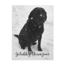 Photo en noir et blanc Carte de vœux Bonne Année